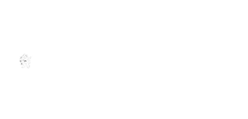 dutchnegotiationnetwork.nl